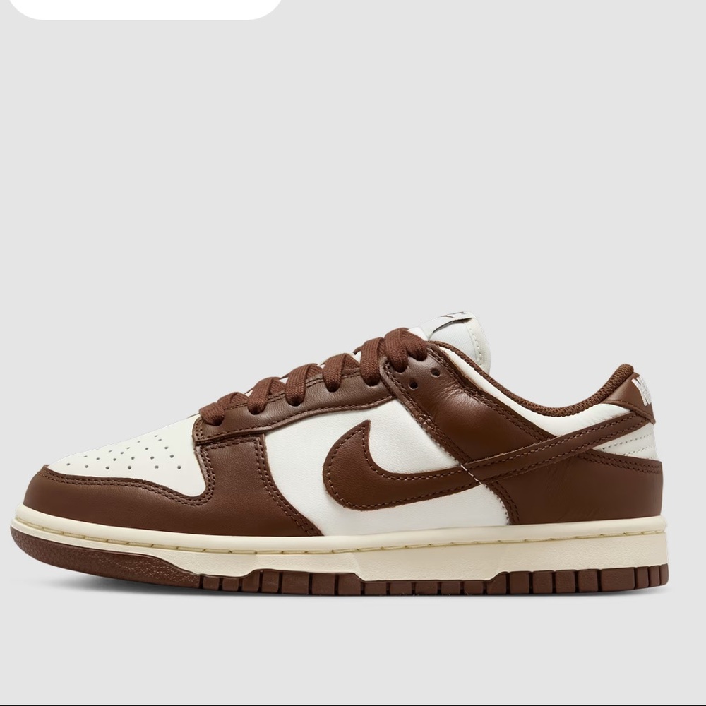 Nike Low Dunk Sneakers
